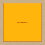 Swans Leaving Meaning Cover